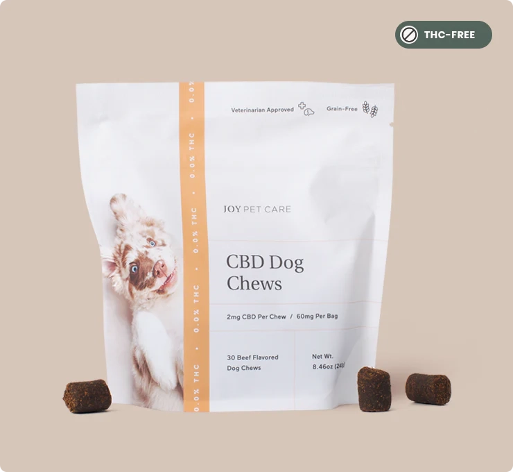 CBD dog treats