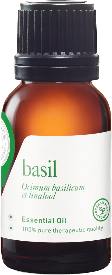 Basil Sweet Essential Oil